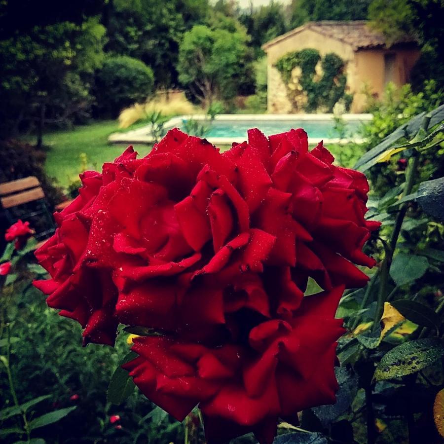 Le Mas De Roussillon Bed & Breakfast Roussillon  Exterior photo