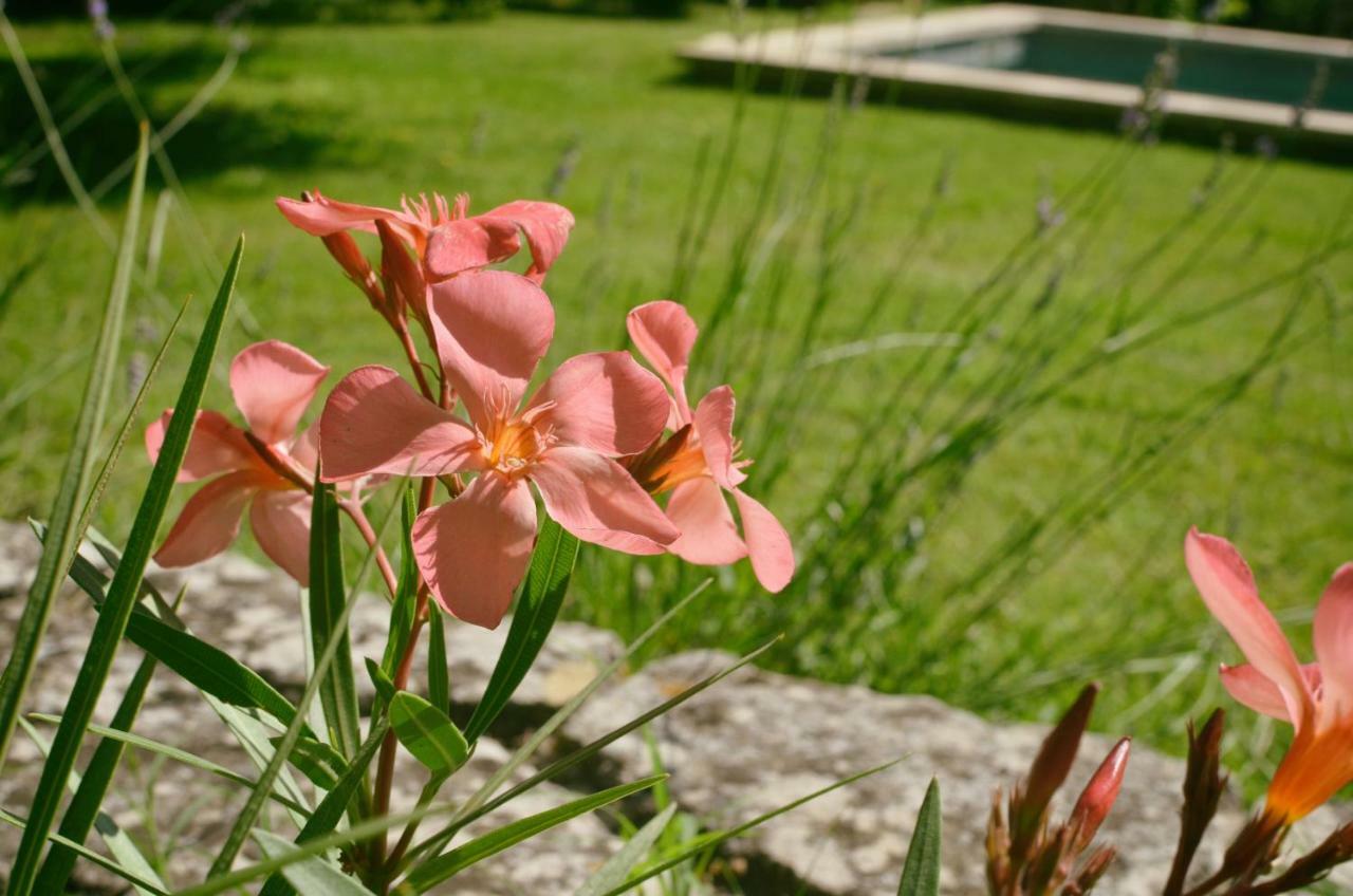 Le Mas De Roussillon Bed & Breakfast Roussillon  Exterior photo